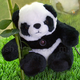 Illustration for article titled USB Panda Webcam Eats Children